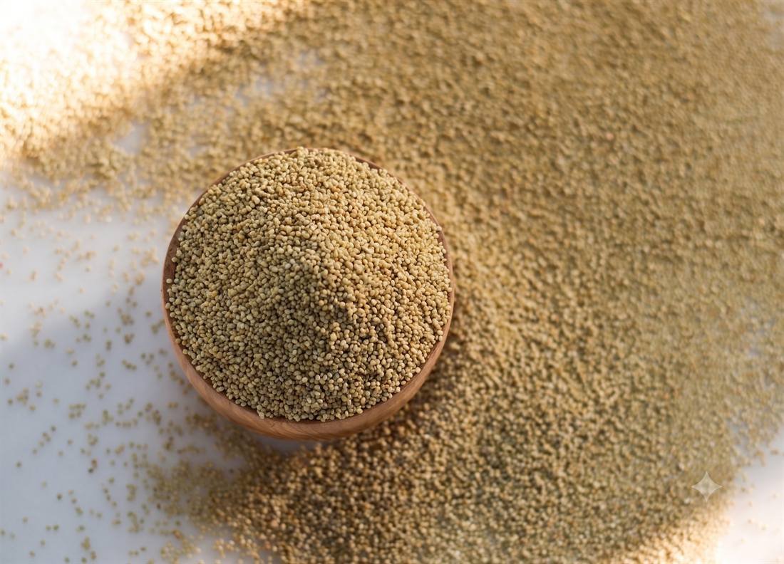 Browntop Millet (Korle) — export quality, India