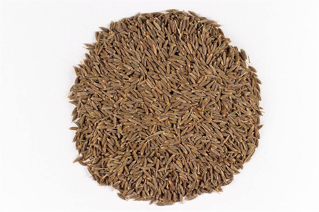 Cumin Seeds — export quality, India